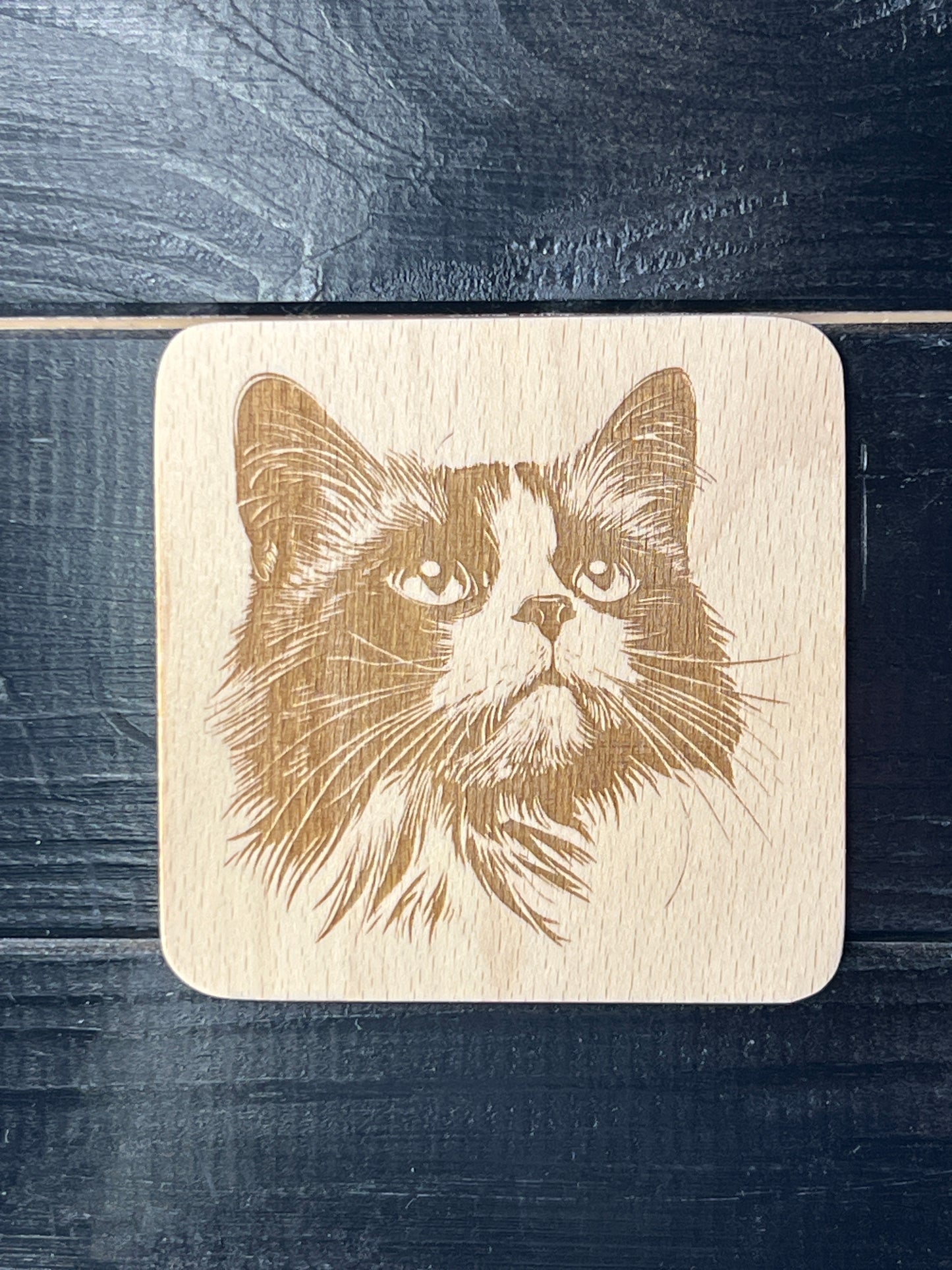 Podtácek Ragdoll
