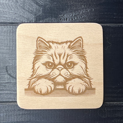 Perská kočka