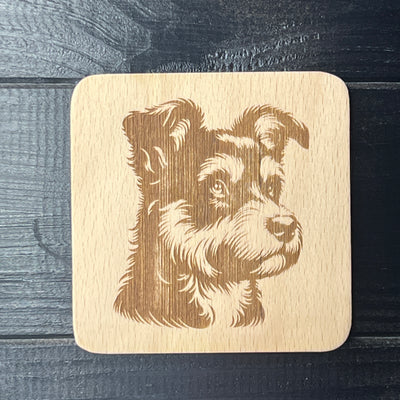 Pumi