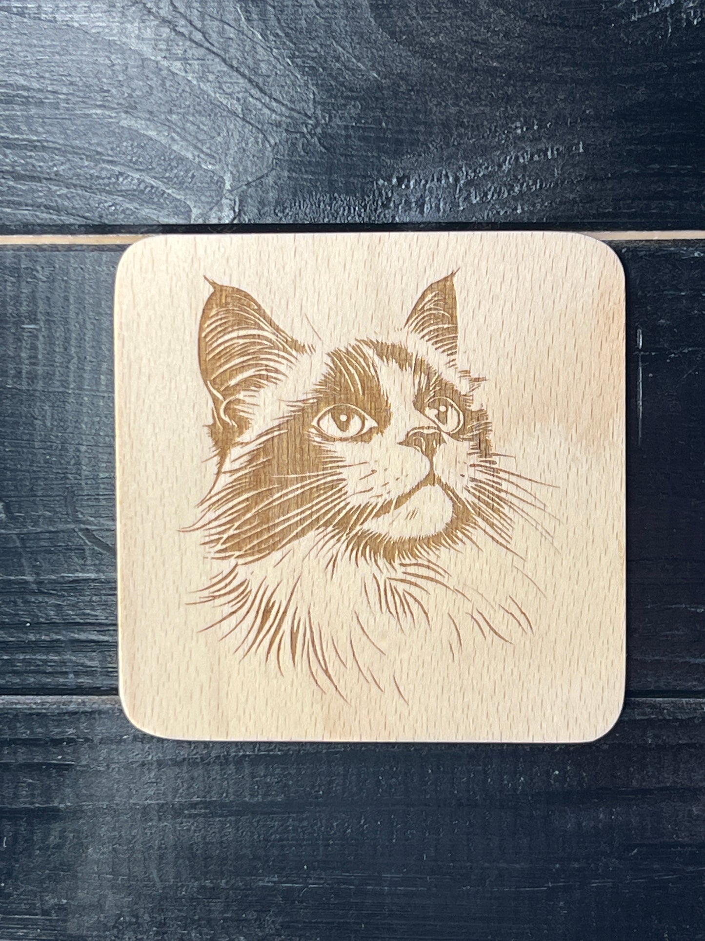 Podtácek Ragdoll