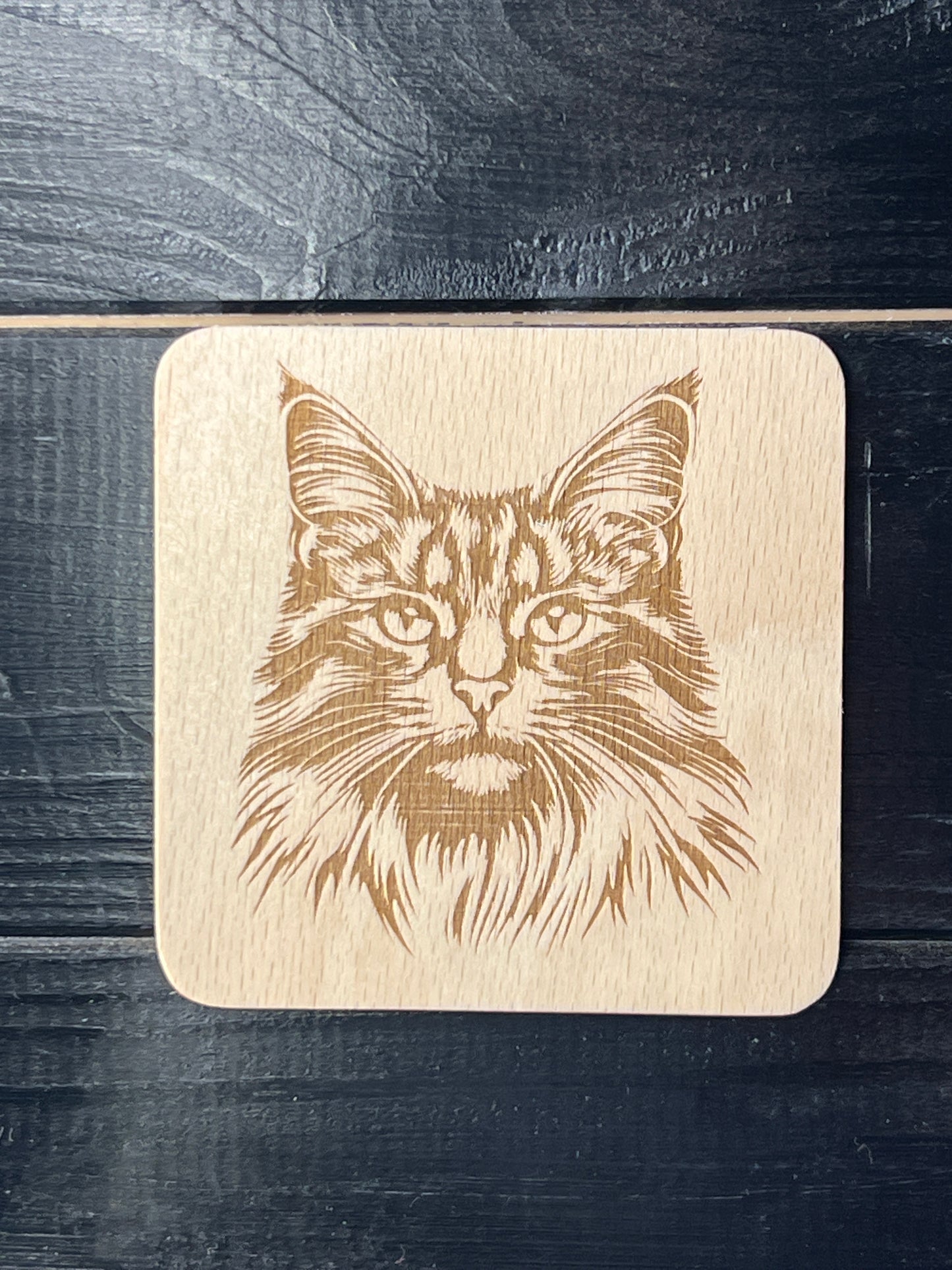 Podtácek Maincoon