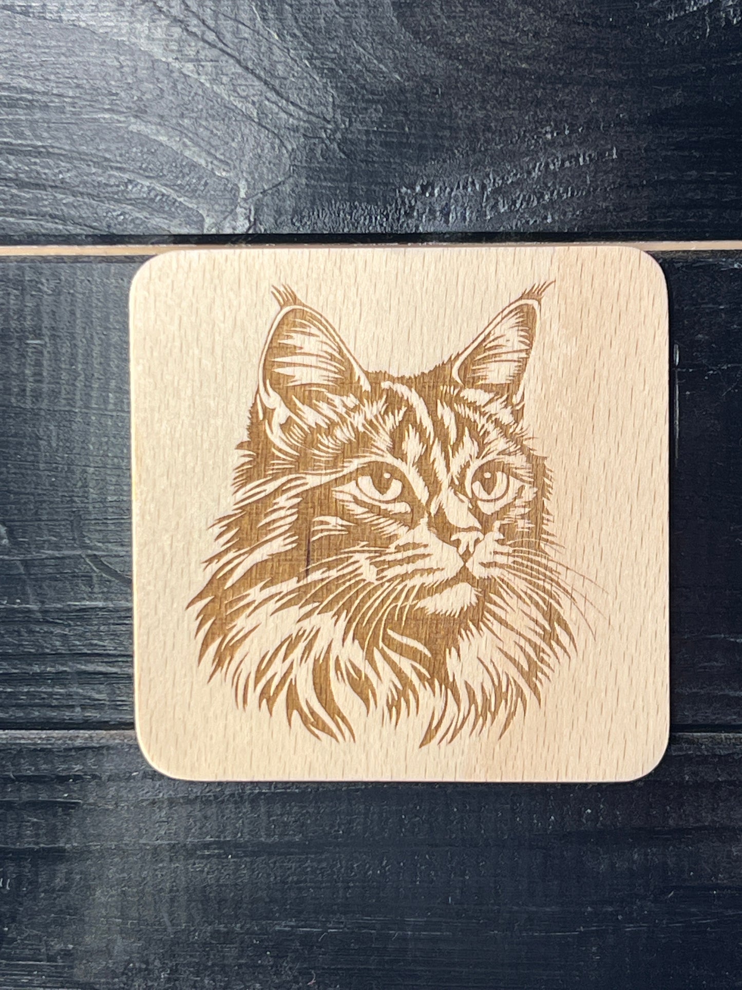 Podtácek Maincoon
