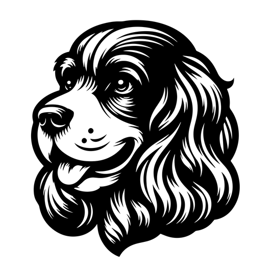 Anglický kokršpaněl