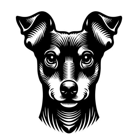 Trpasličí pinč