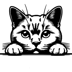 European Shorthair cat
