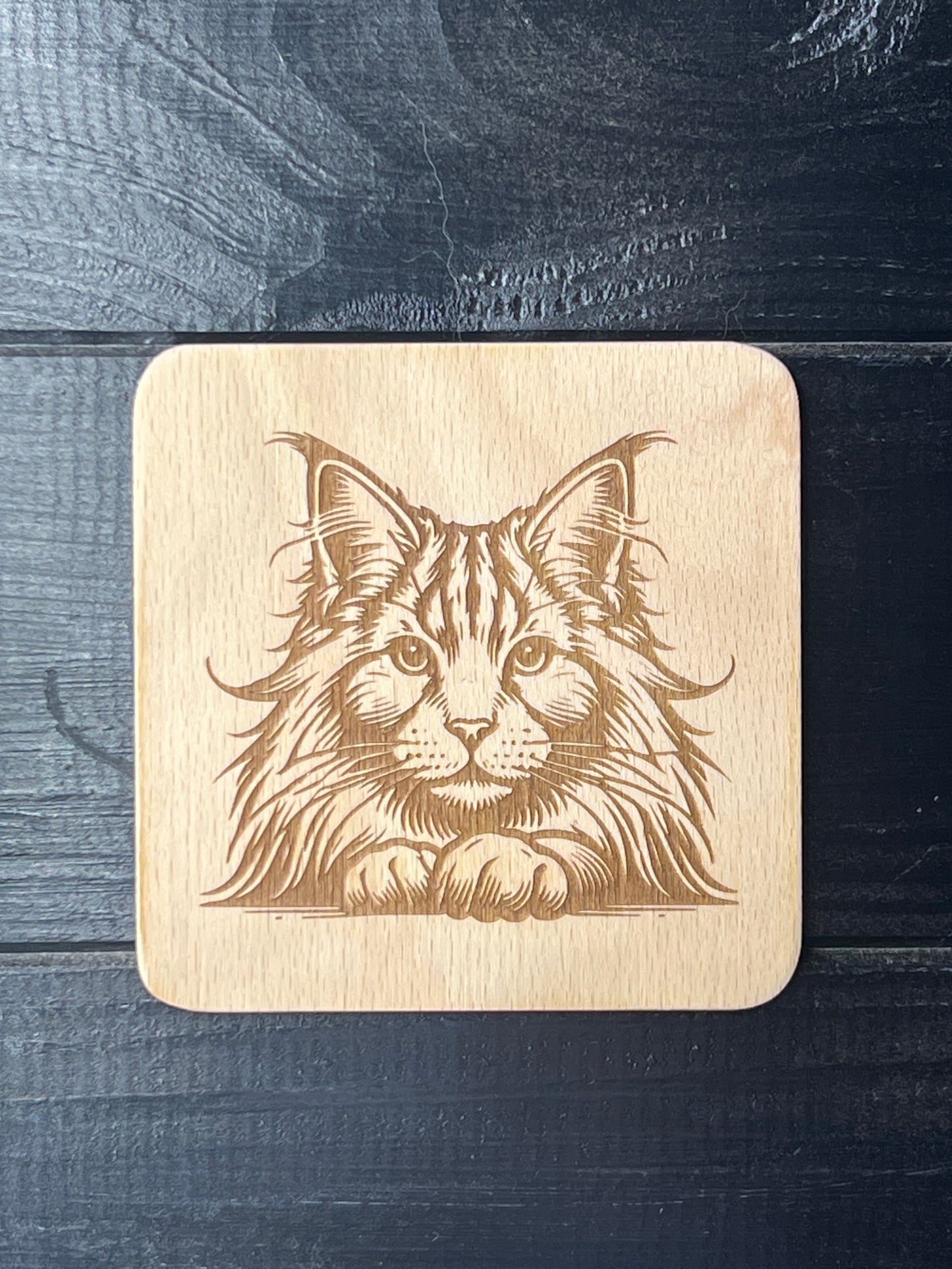 Podtácek Maincoon