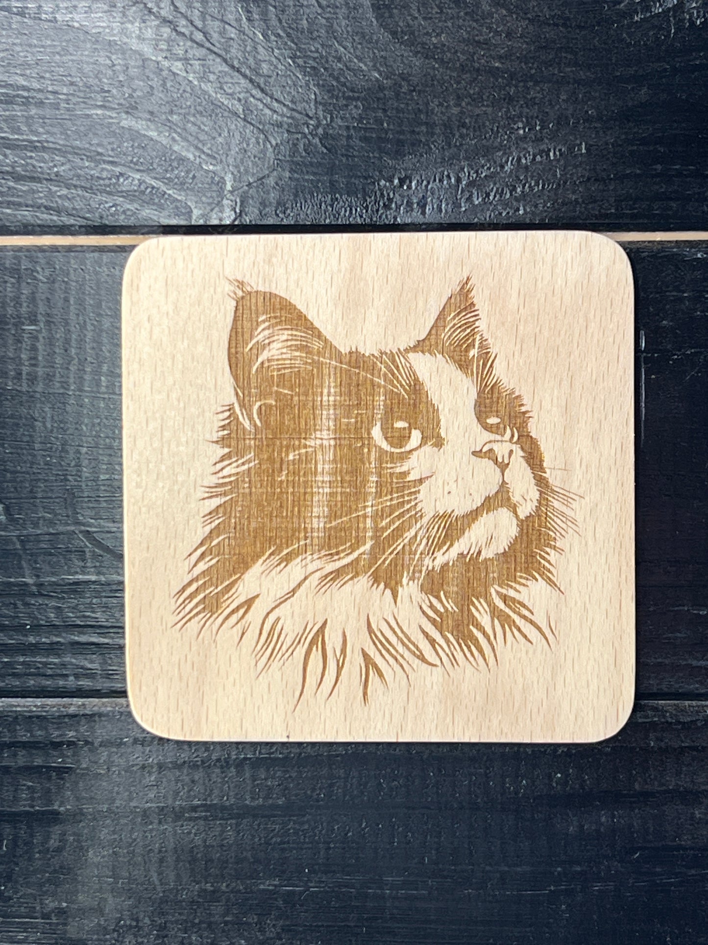 Podtácek Ragdoll
