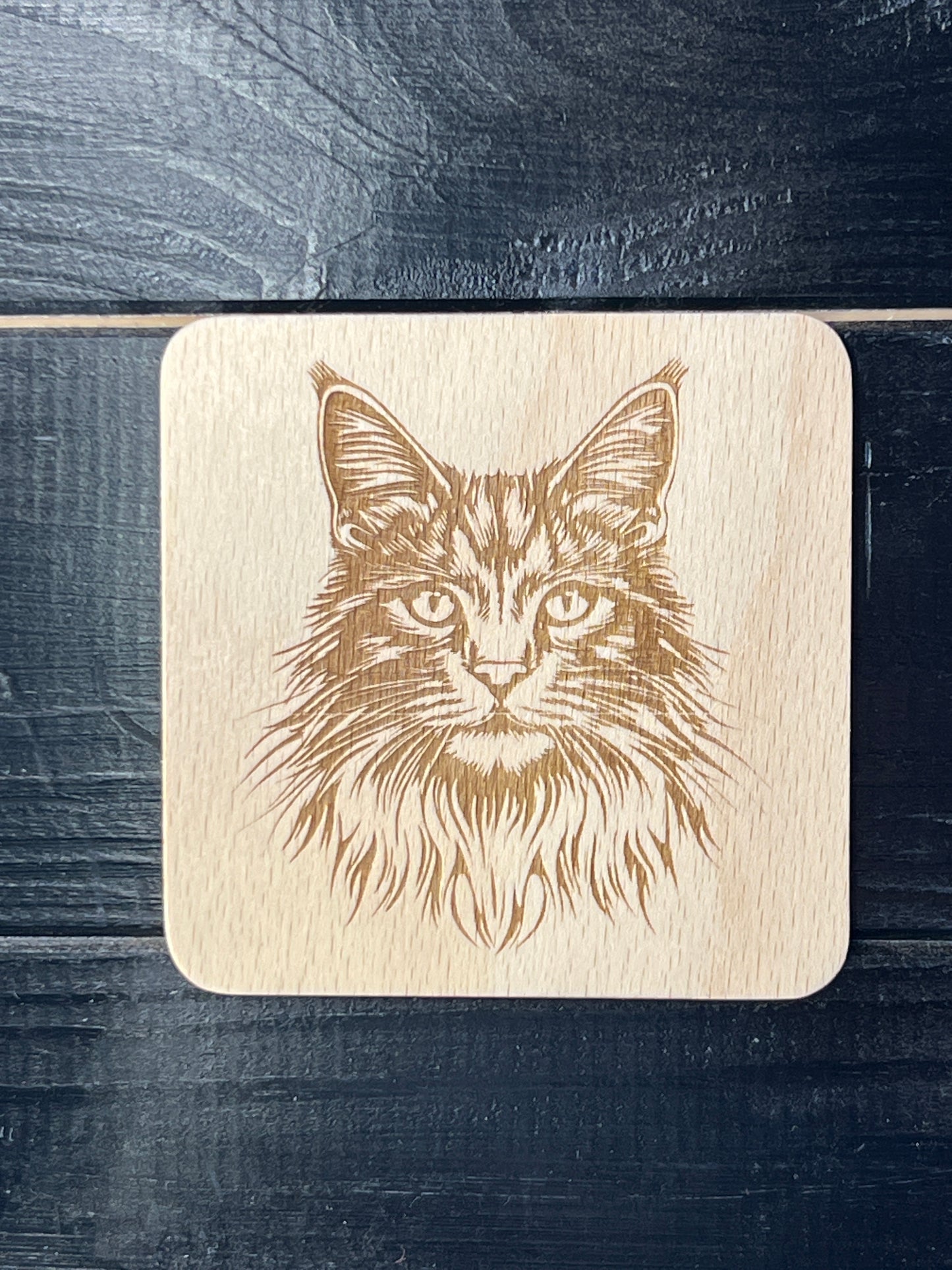 Podtácek Maincoon