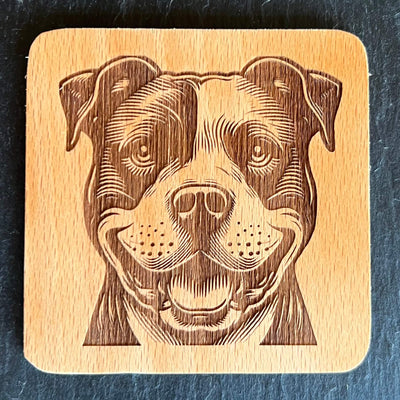 Americký pitbull teriér