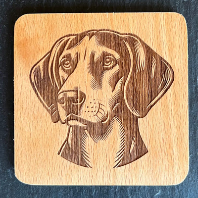 Anglický foxhound