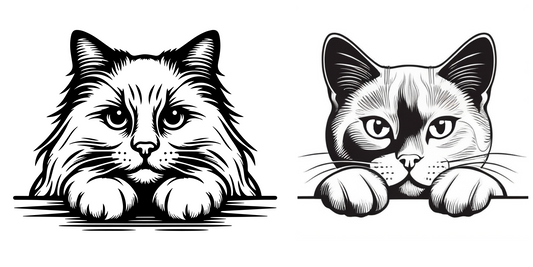 Sofinka a Justynka - AdV