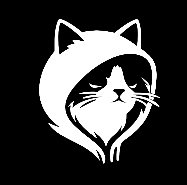 „Já nic. Já jen sleduju.“ (Ragdoll v kapuci)