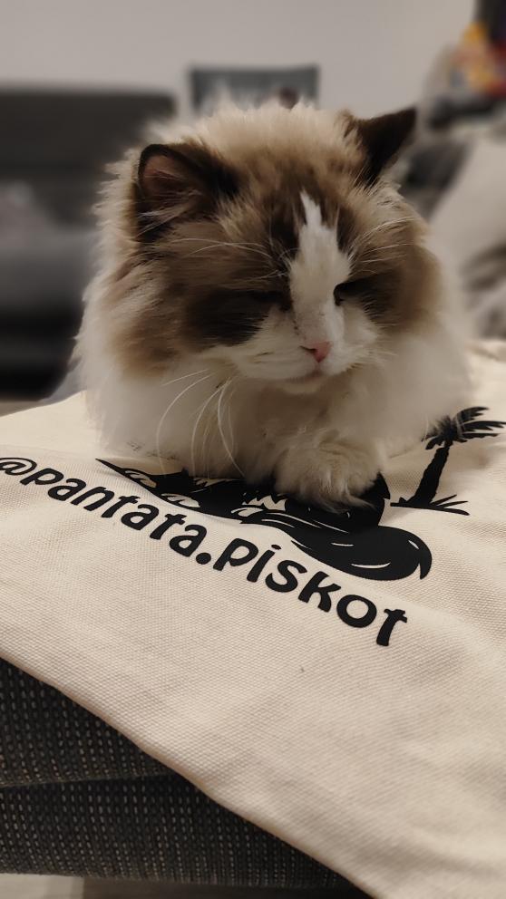 Bavlněná taška se zipem