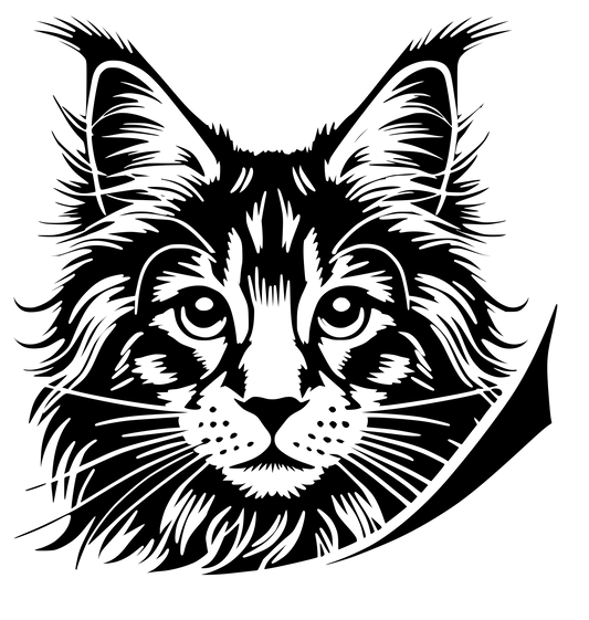 Černobílá ilustrace mainské mývalí kočky vykukující přes hranu s tlapkami, stylizovaná line-art samolepka pro milovníky koček.