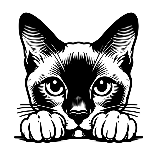 Černobílá ilustrace siamské kočky vykukující přes hranu s tlapkami, stylizovaná line-art samolepka pro milovníky koček.