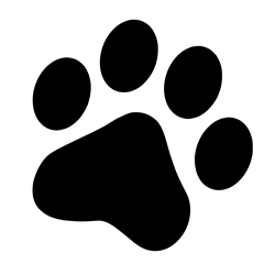 Paw