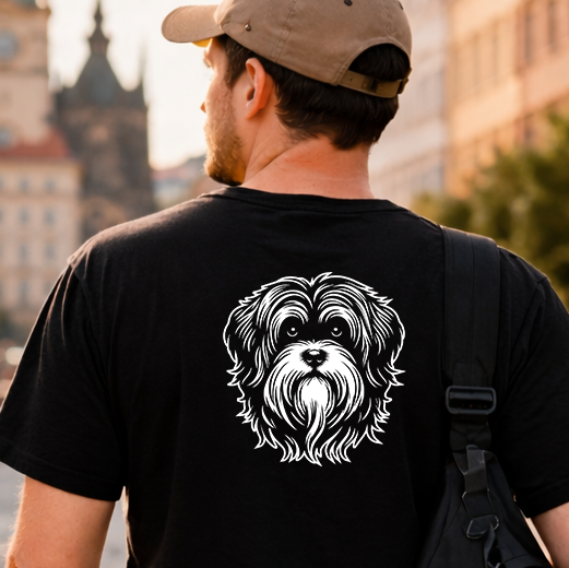 Lvíček