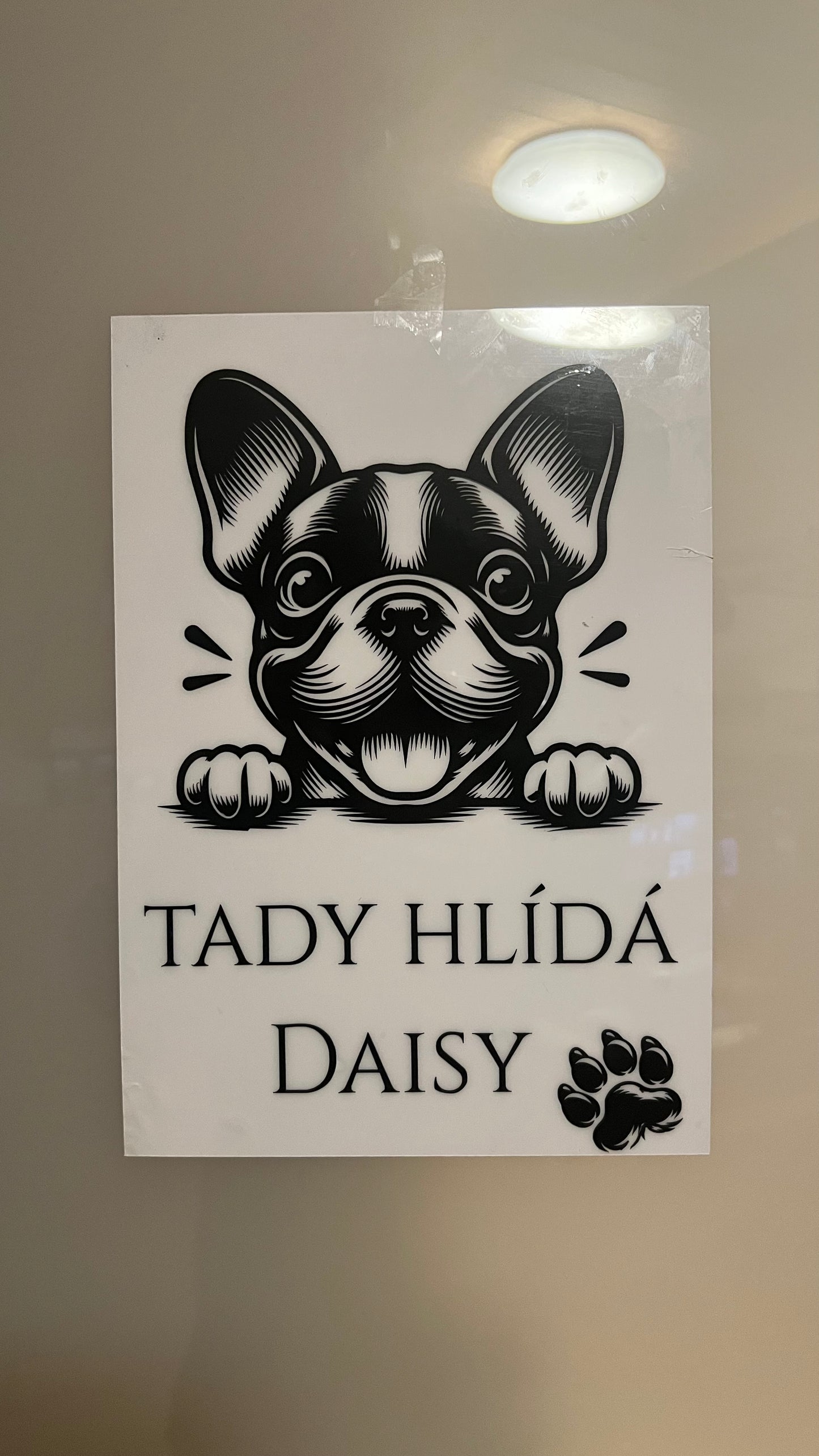 Tady hlídám já