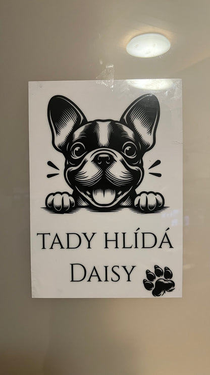 Tady hlídám já