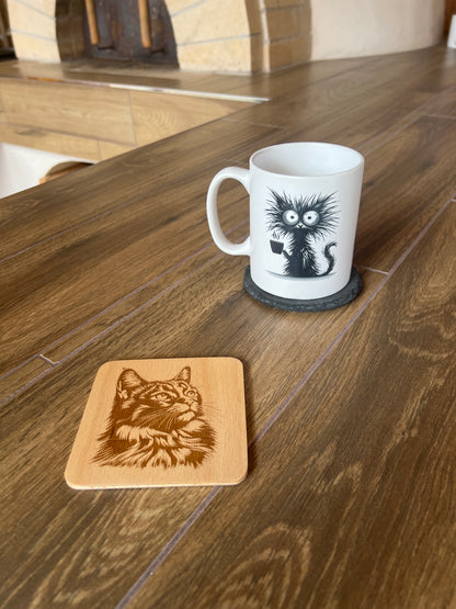 Podtácek Somálská kočka