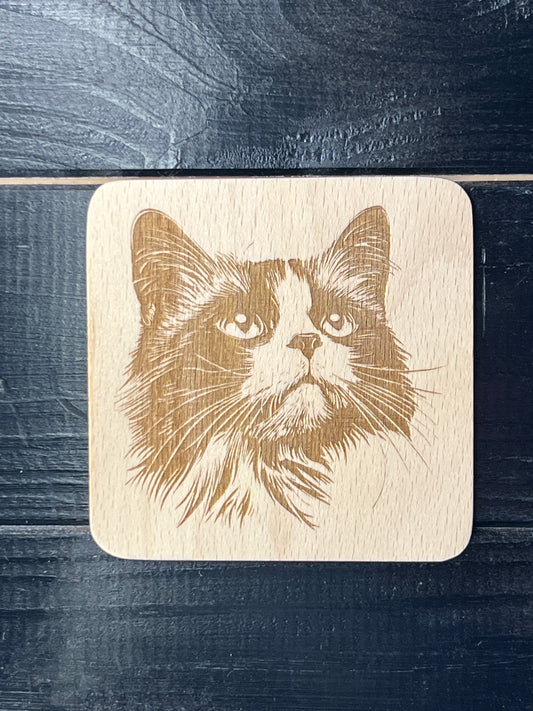 Podtácek Ragdoll