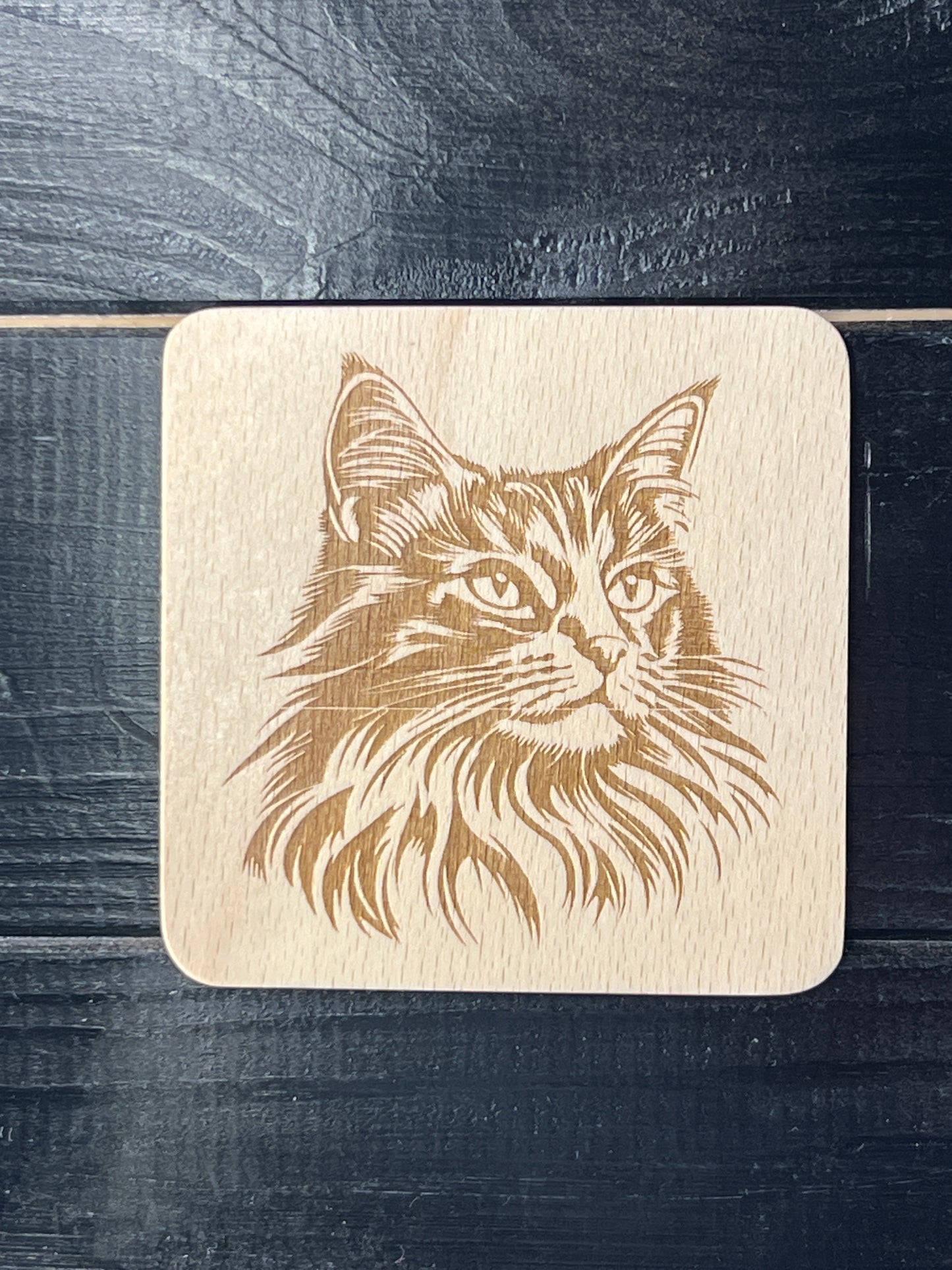 Podtácek Maincoon