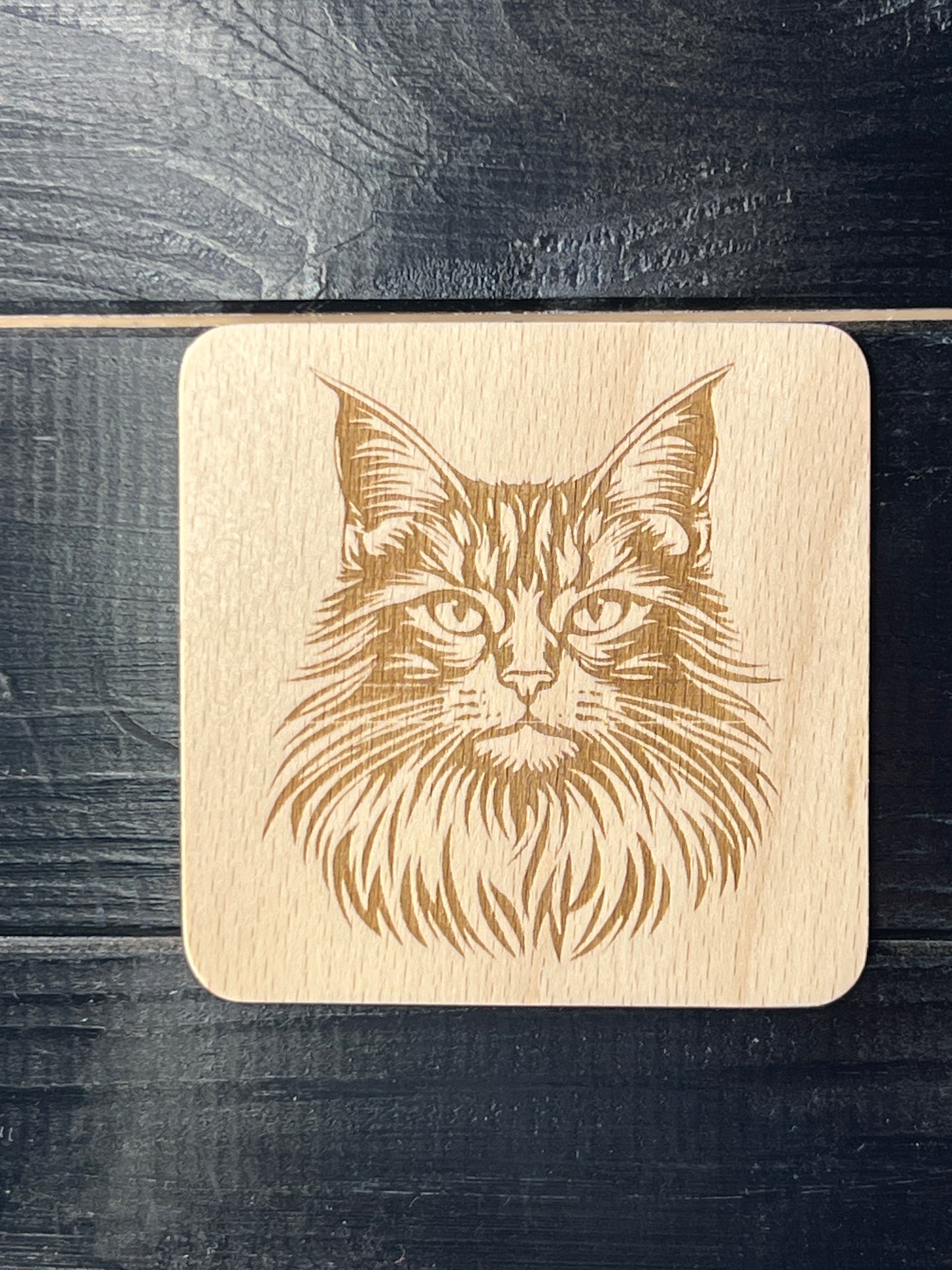 Podtácek Maincoon