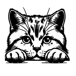 British Shorthair cat