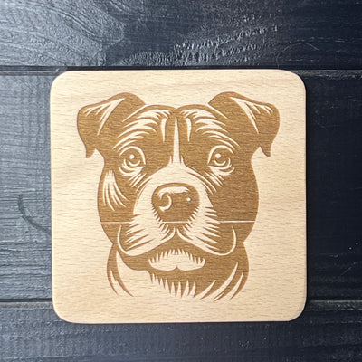 Staffordshire bull terrier
