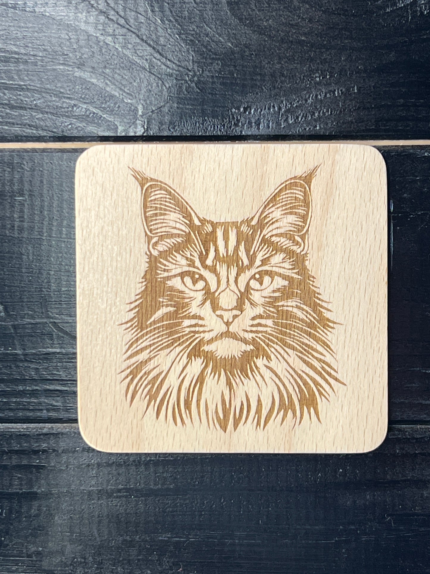Podtácek Maincoon