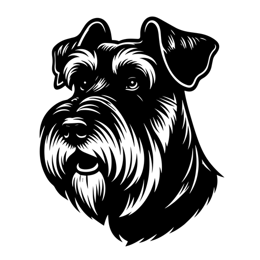 Knírač velký