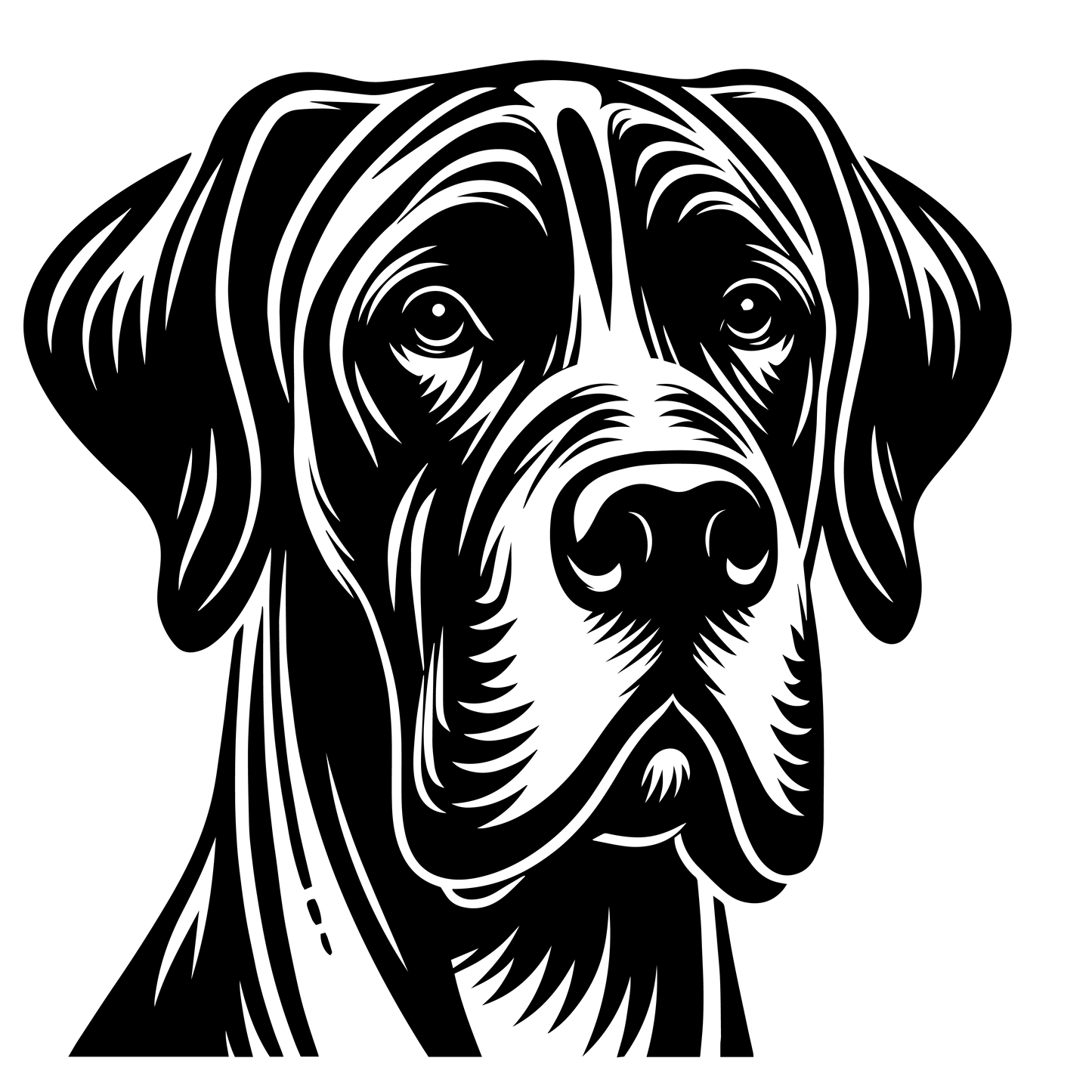 Německá doga