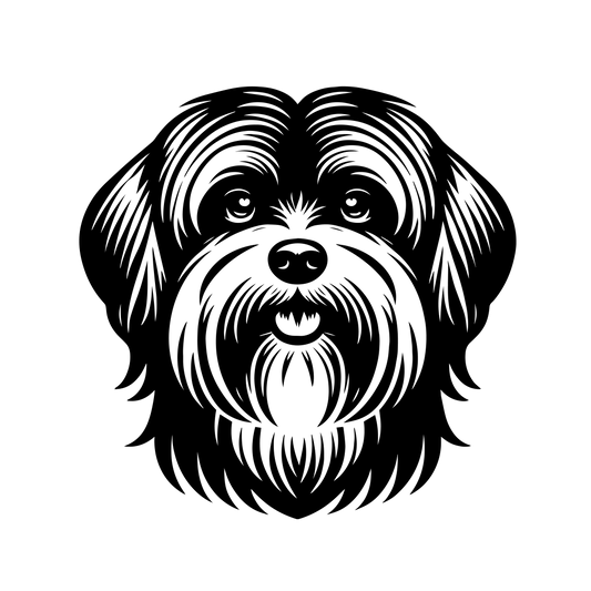 Havanský psík