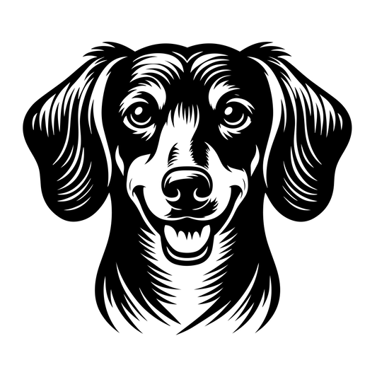 Jezevčík 2