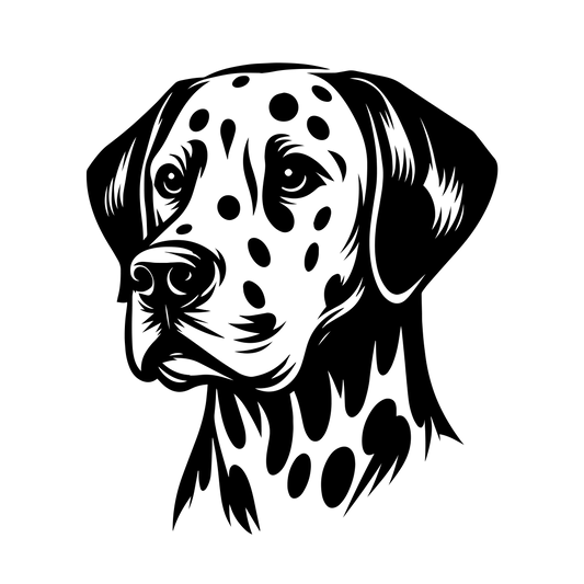 Dalmatin