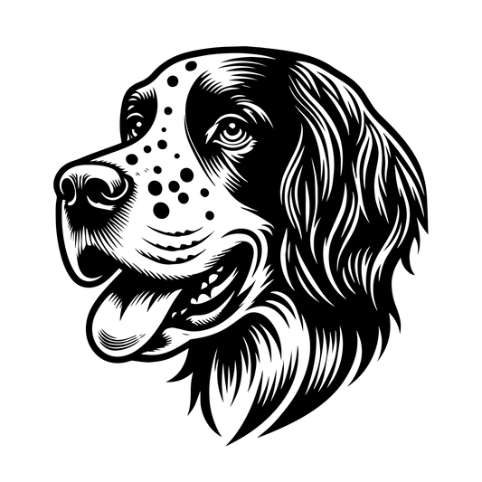 Anglický setr