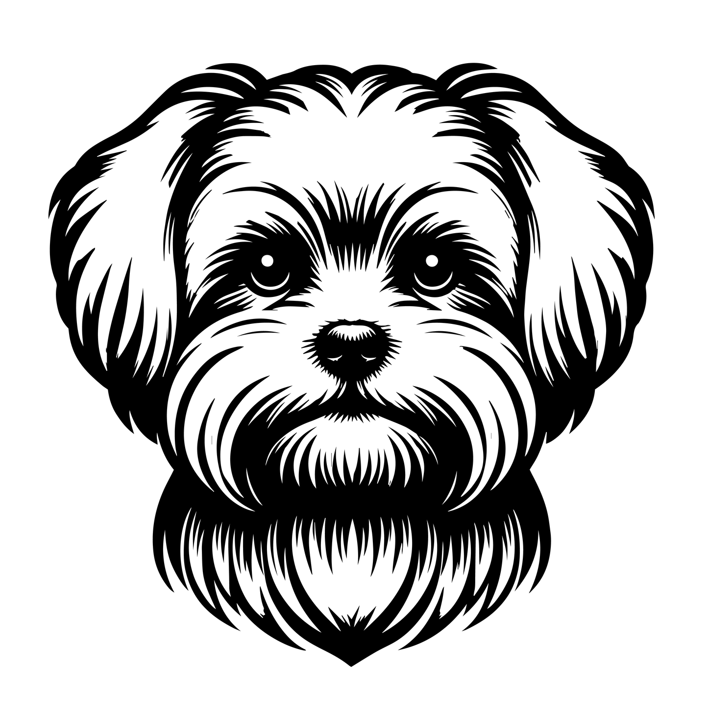 Maltézský psík
