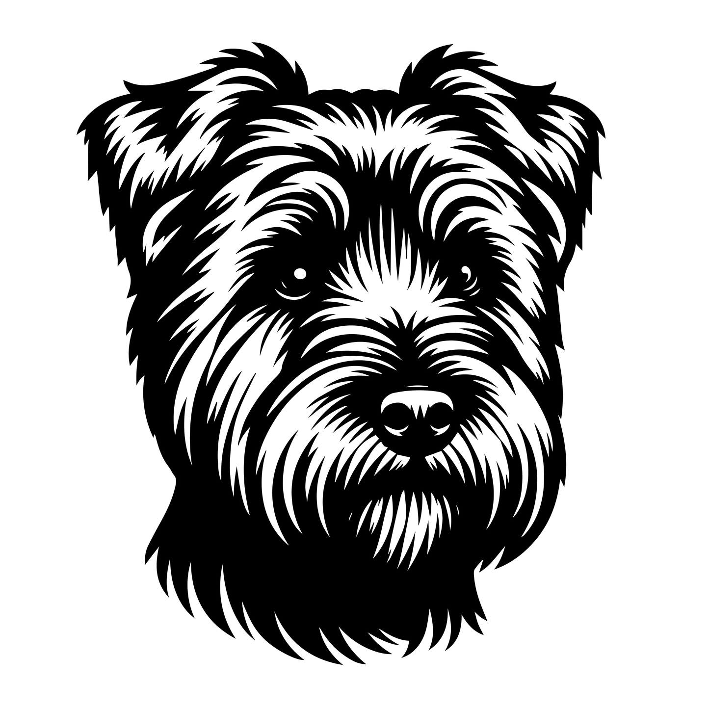 Norfolk teriér