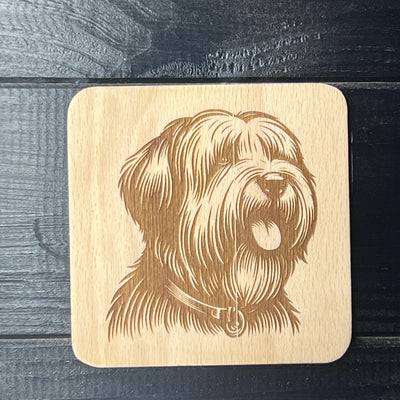Briard