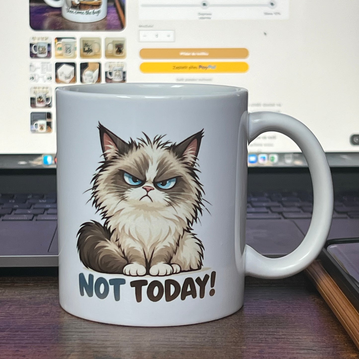 Mug Not Today