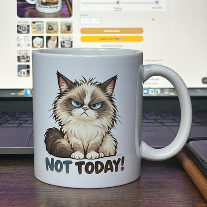 Mug Not Today