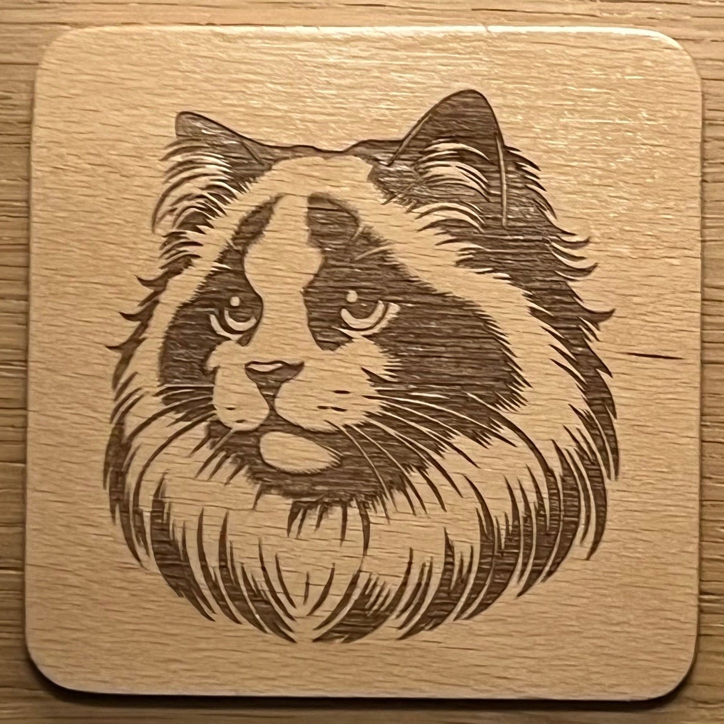 dřevěnný podtácek s motivem ragdoll kočky
