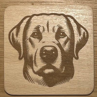 Labradorský retrívr