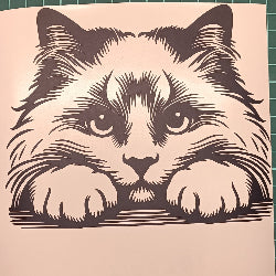 Ragdoll 2