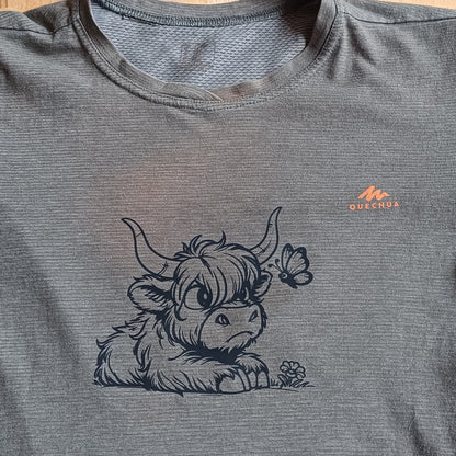 Grumpy highland cow