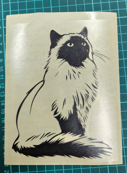 Ragdoll Jimmy 2
