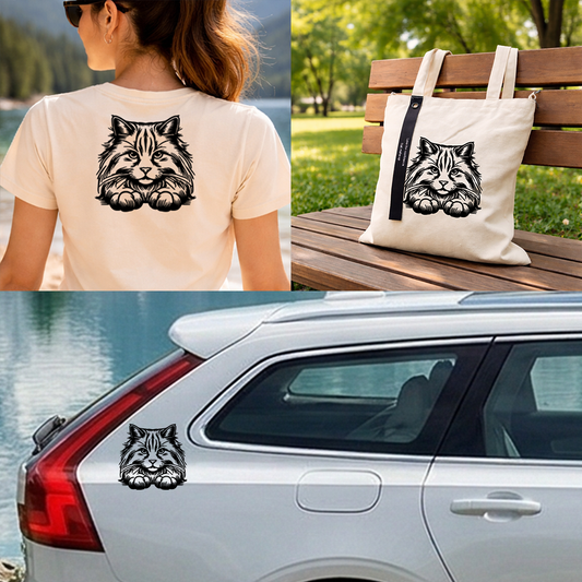 Kreativní kočičí/psí kombo  – Vylaď se k dokonalosti!