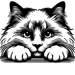 Ragdoll 2