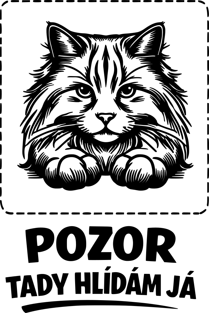 Tady hlídám já