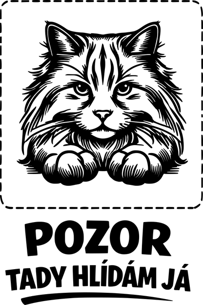 Tady hlídám já